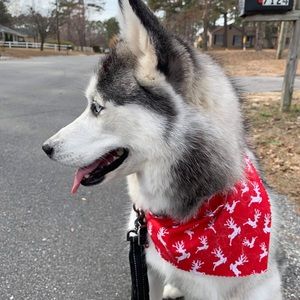 Meet your Posher, James